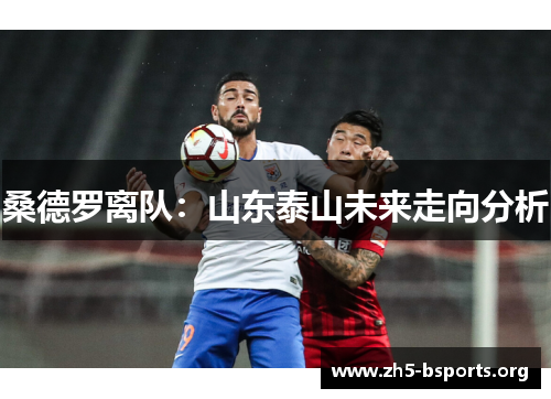 桑德罗离队：山东泰山未来走向分析