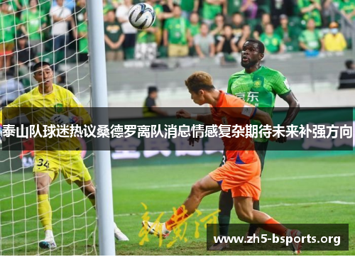 泰山队球迷热议桑德罗离队消息情感复杂期待未来补强方向