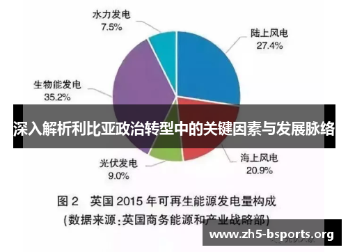 深入解析利比亚政治转型中的关键因素与发展脉络