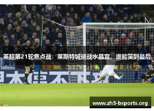 英超第21轮焦点战：莱斯特城迎战水晶宫，谁能笑到最后