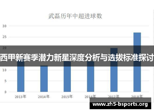 西甲新赛季潜力新星深度分析与选拔标准探讨