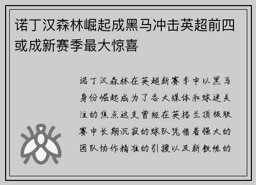 诺丁汉森林崛起成黑马冲击英超前四或成新赛季最大惊喜