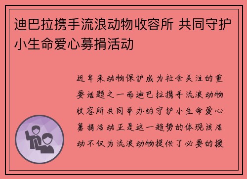 迪巴拉携手流浪动物收容所 共同守护小生命爱心募捐活动