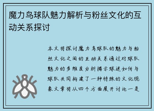 魔力鸟球队魅力解析与粉丝文化的互动关系探讨