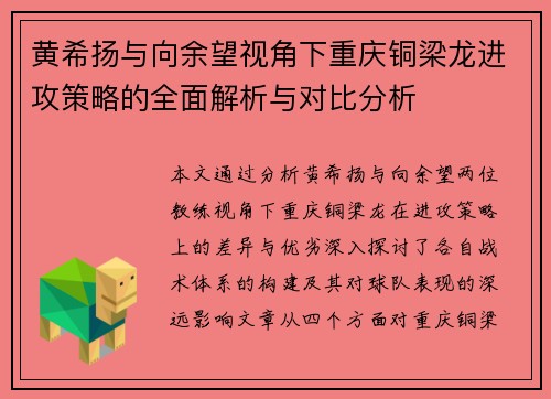 黄希扬与向余望视角下重庆铜梁龙进攻策略的全面解析与对比分析